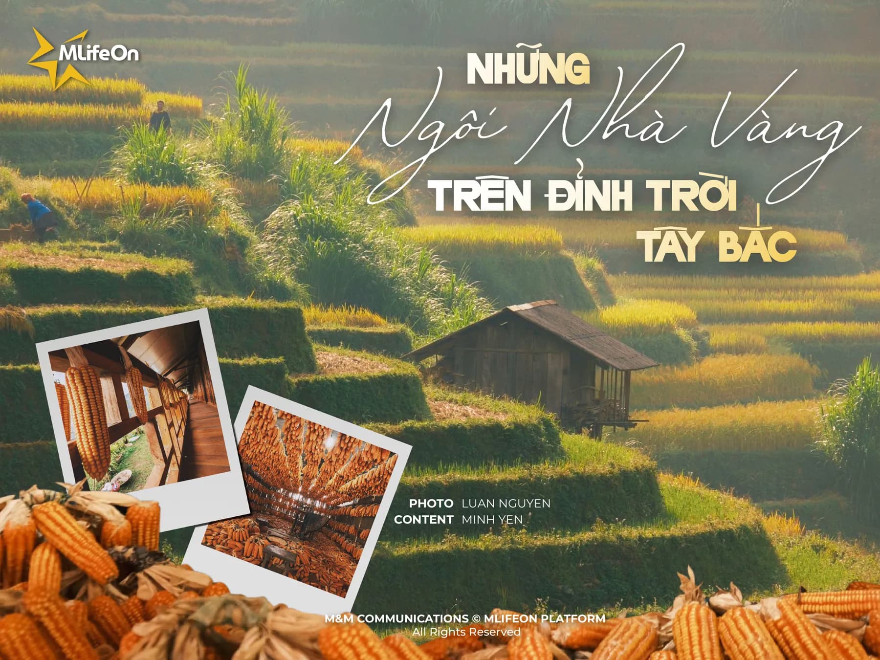 KHÁM PHÁ NHỮNG “NGÔI NHÀ VÀNG” TRÊN ĐỈNH TRỜI TÂY BẮC