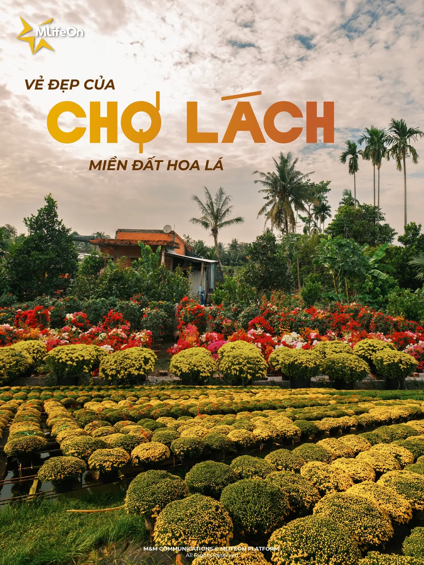 CHO LACH - THE BEAUTY OF THE KINGDOM OF FLOWERS