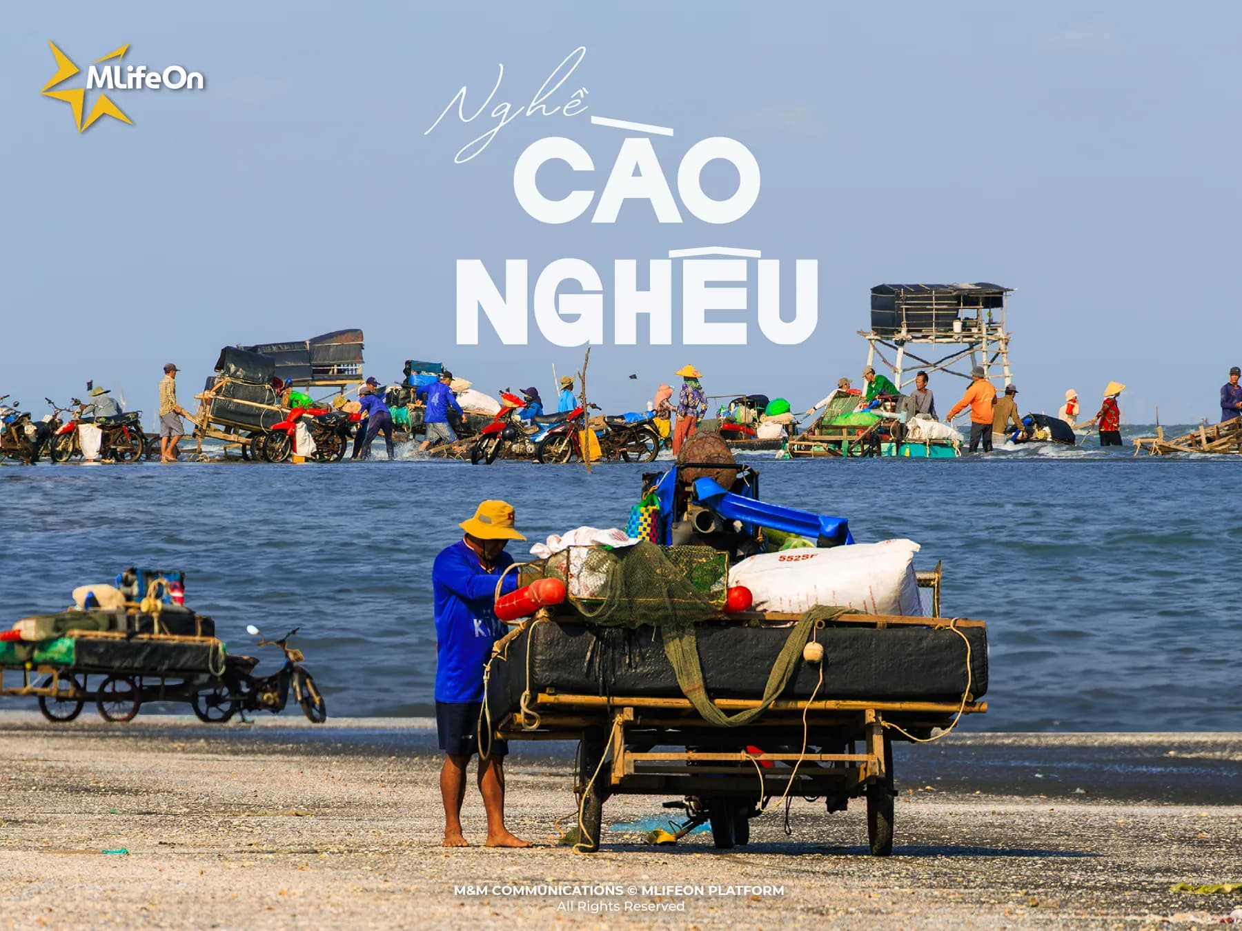 THE CLAM-RAKING TRADE – WEATHERED BY SEA WINDS, BURDENED BY LIVELIHOOD