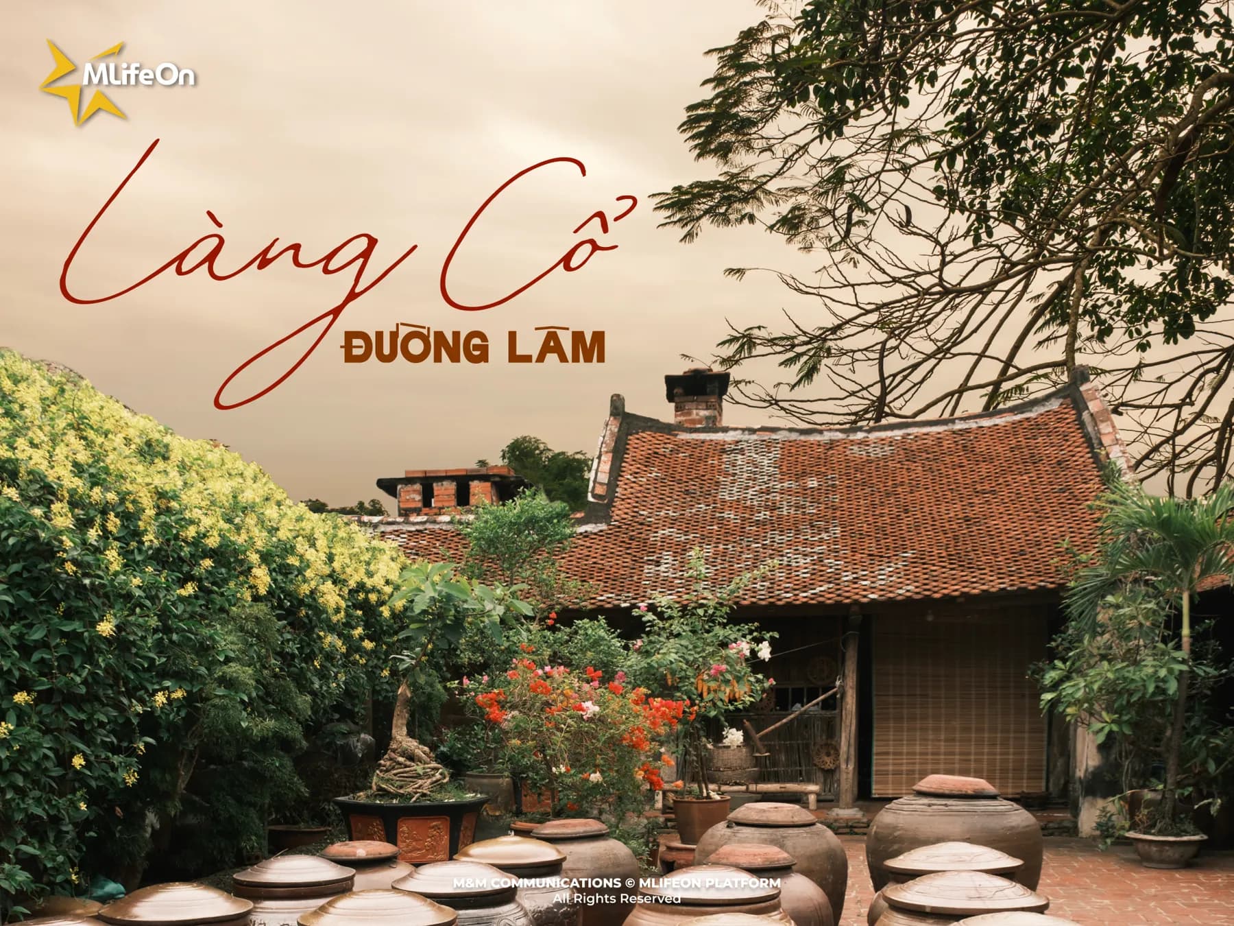 DUONG LAM ANCIENT VILLAGE - A CULTURAL HERITAGE OF DOAI REGION, HANOI