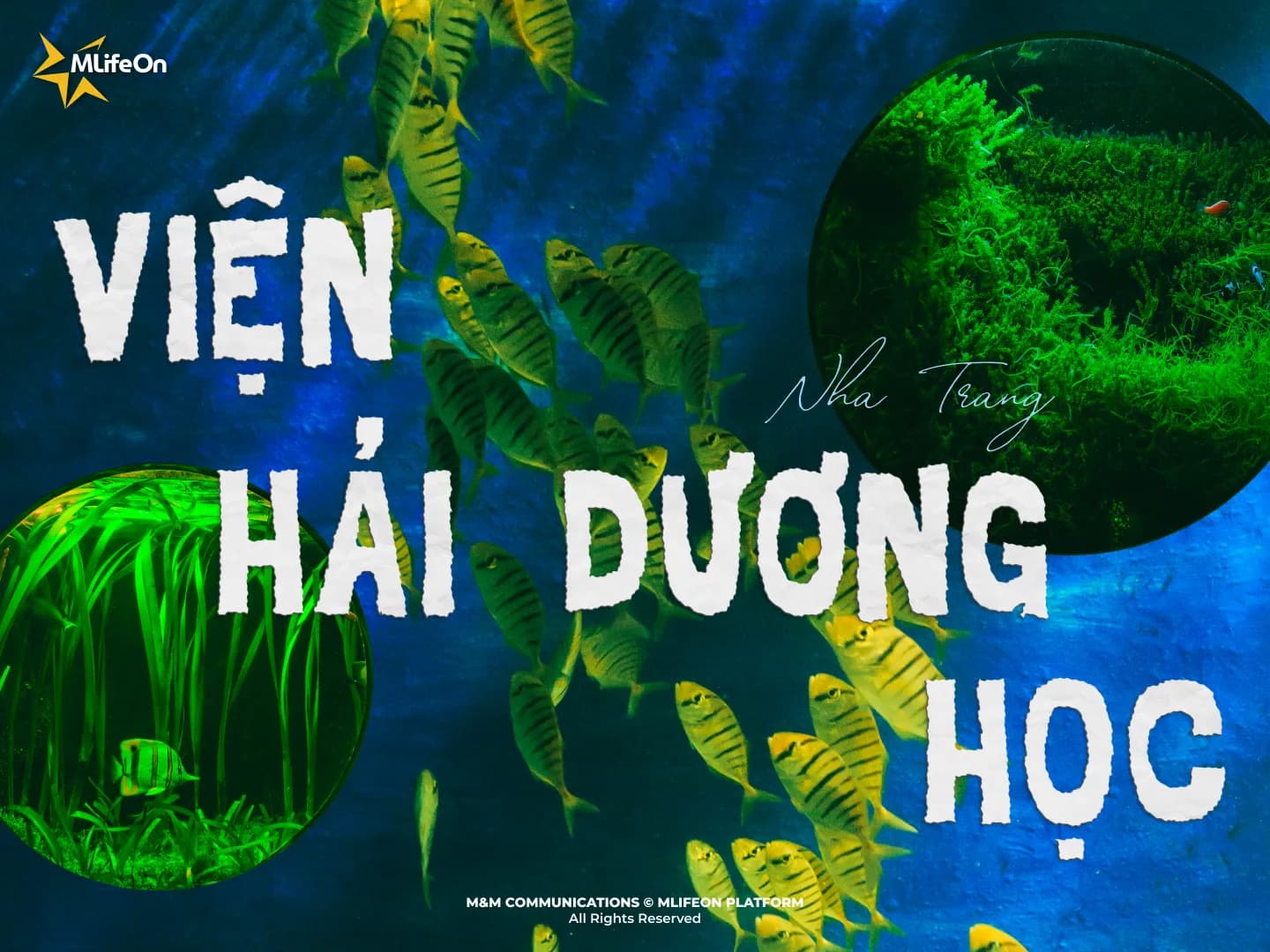 NHA TRANG OCEANOGRAPHIC INSTITUTE - OVER A CENTURY OF PRESERVING MARINE KNOWLEDGE