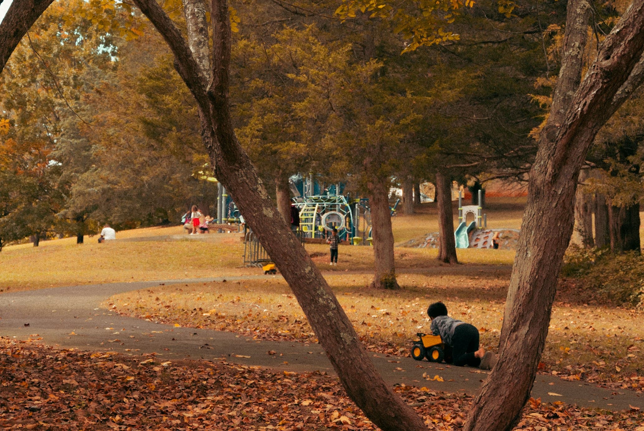 Toddler-Friendly Melbourne: 25 Gentle Activities for Little Explorers