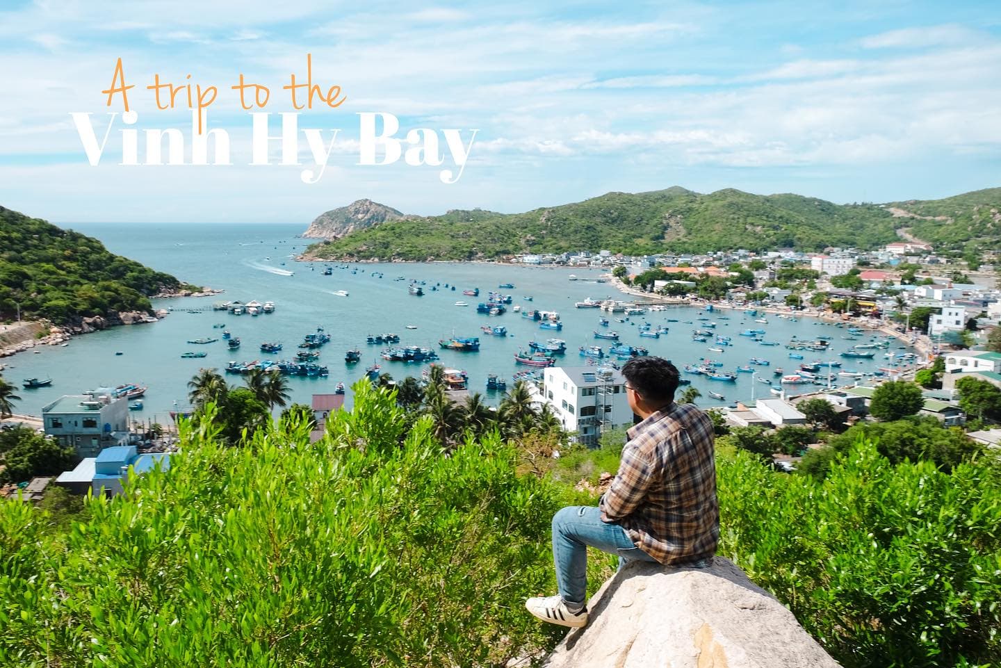 Vịnh Vĩnh Hy: Khám Phá Thiên Đường Biển Hoang Sơ Ninh Thuận (Cẩm Nang A-Z)