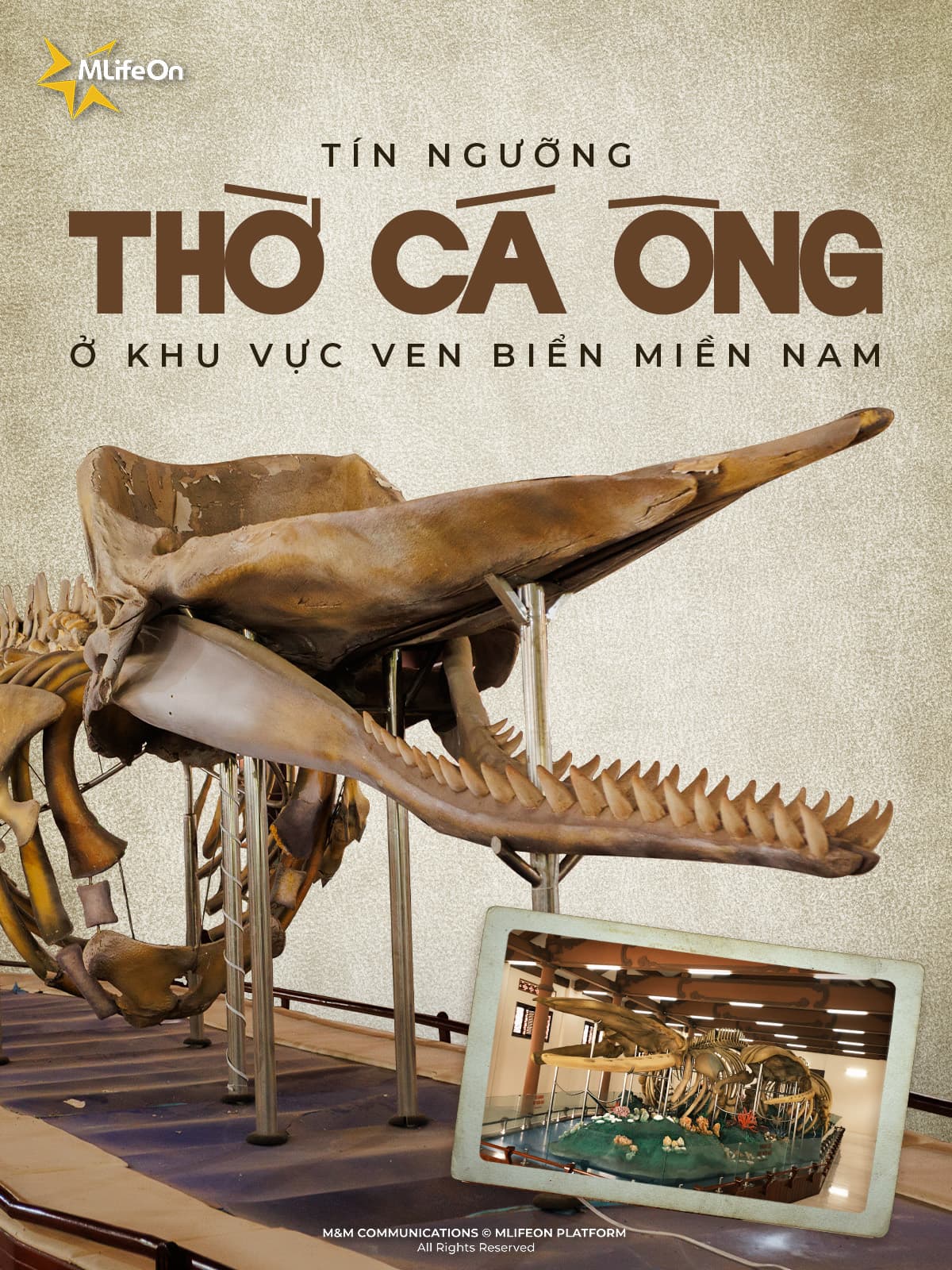 VIETNAMESE BELIEFS: WORSHIPING THE WHALE IN COASTAL AREAS