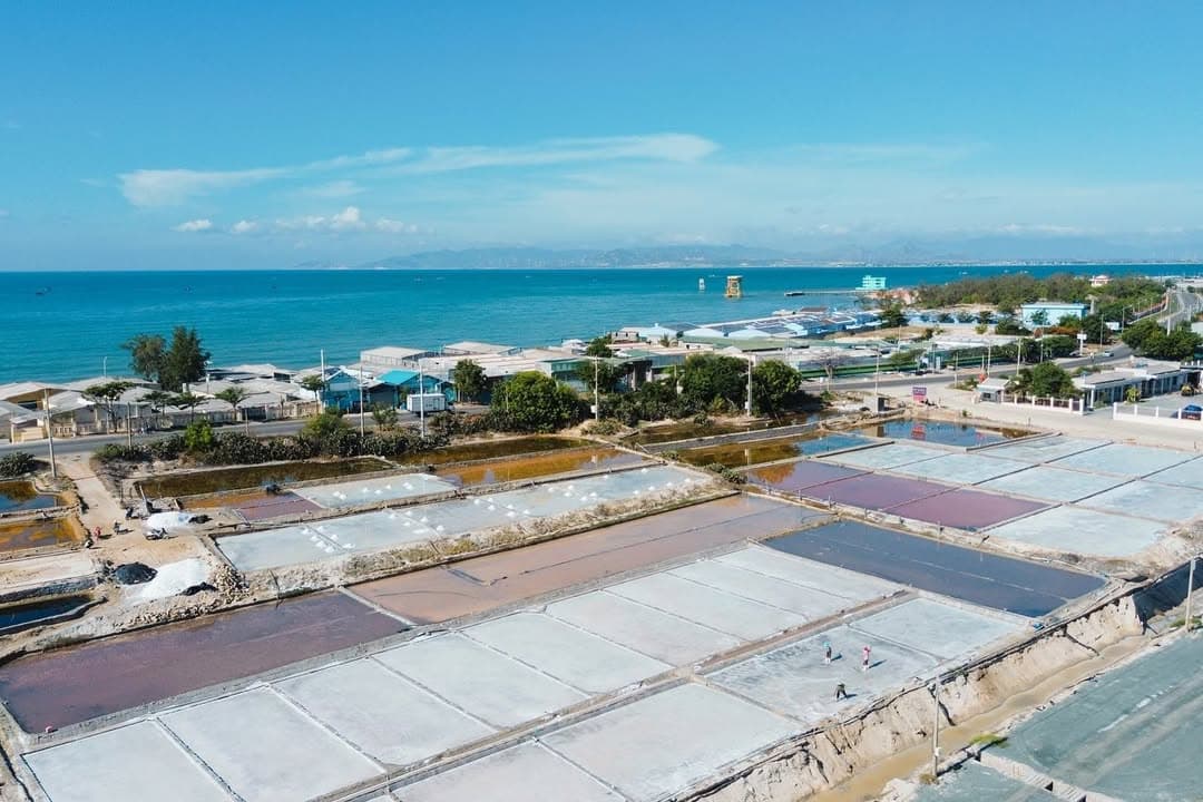Ninh Thuận: Vùng Đất Di Sản & Trải Nghiệm Văn Hóa Độc Đáo Giữa Lòng Việt Nam