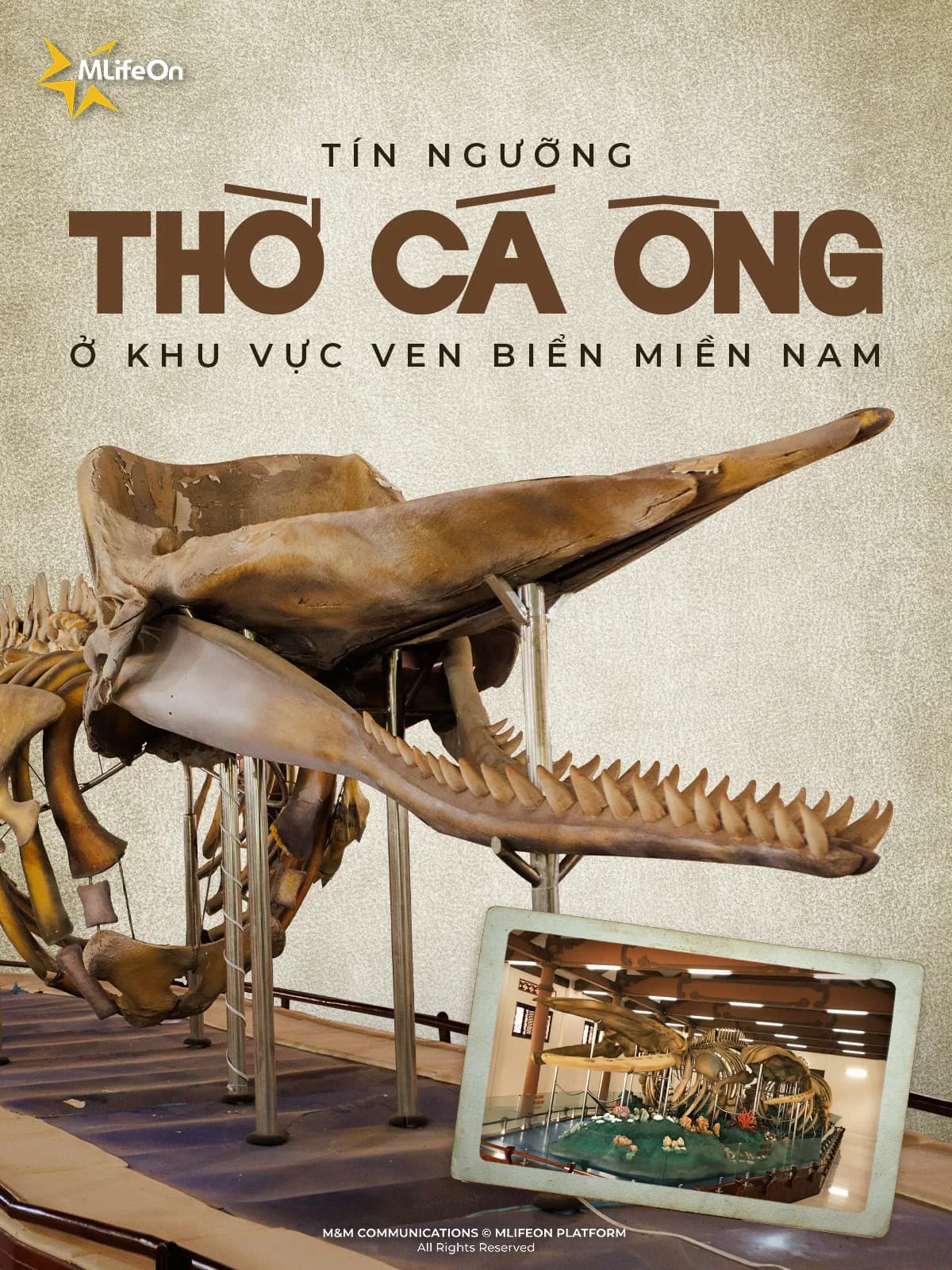 VIETNAMESE BELIEFS: WORSHIPING THE WHALE IN COASTAL AREAS