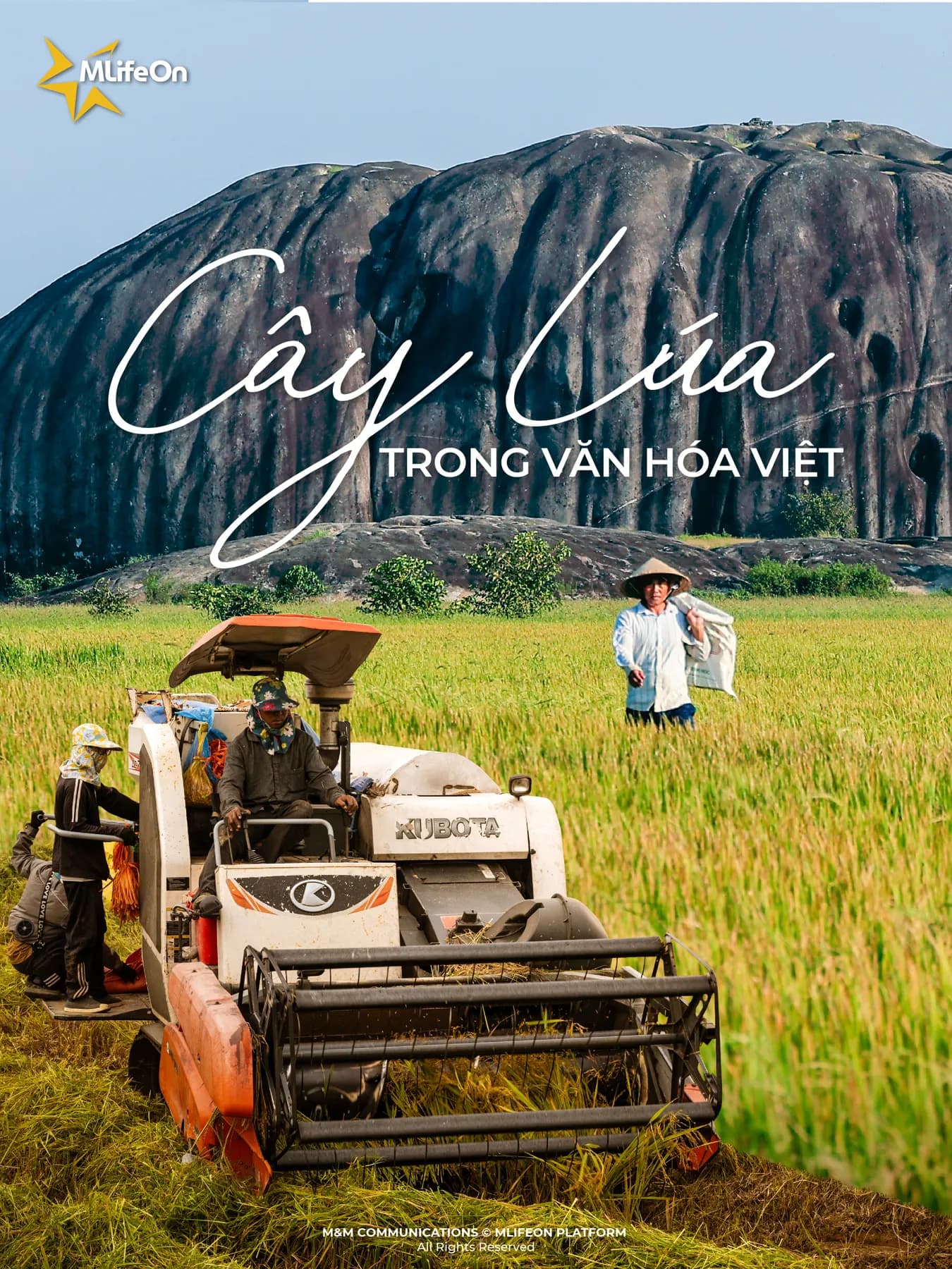 RICE - A PEARL OF THE SKY IN VIETNAMESE CULTURE