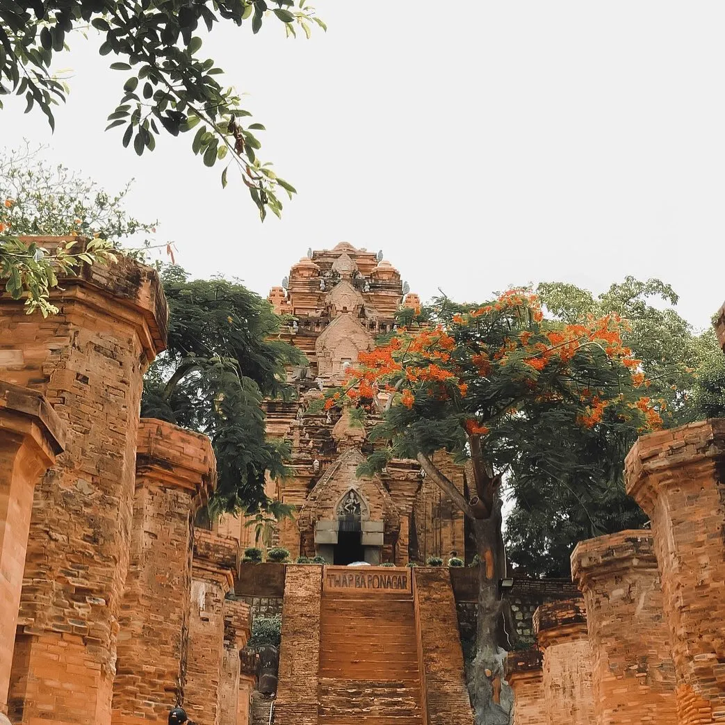 Tours de Cham Po Nagar Nha Trang 2025 : À la découverte du patrimoine ancien et sacré des Cham dans la ville côtière