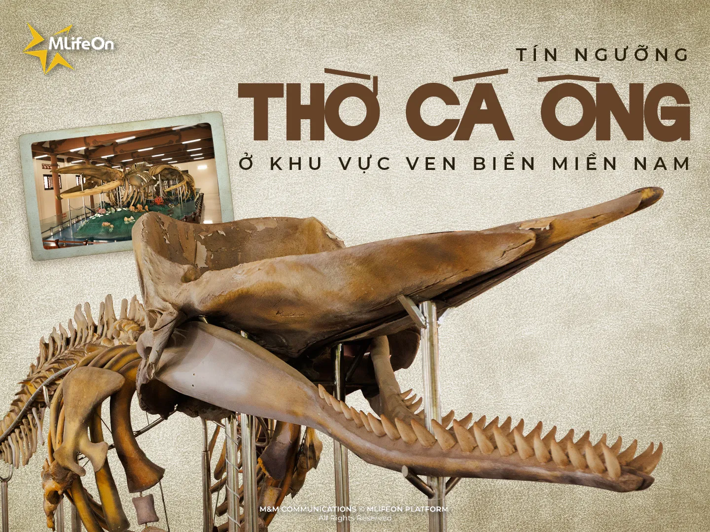 CROYANCES VIETNAMIENNES : LE CULTE DE LA BALEINE DANS LES ZONES CÔTIÈRES