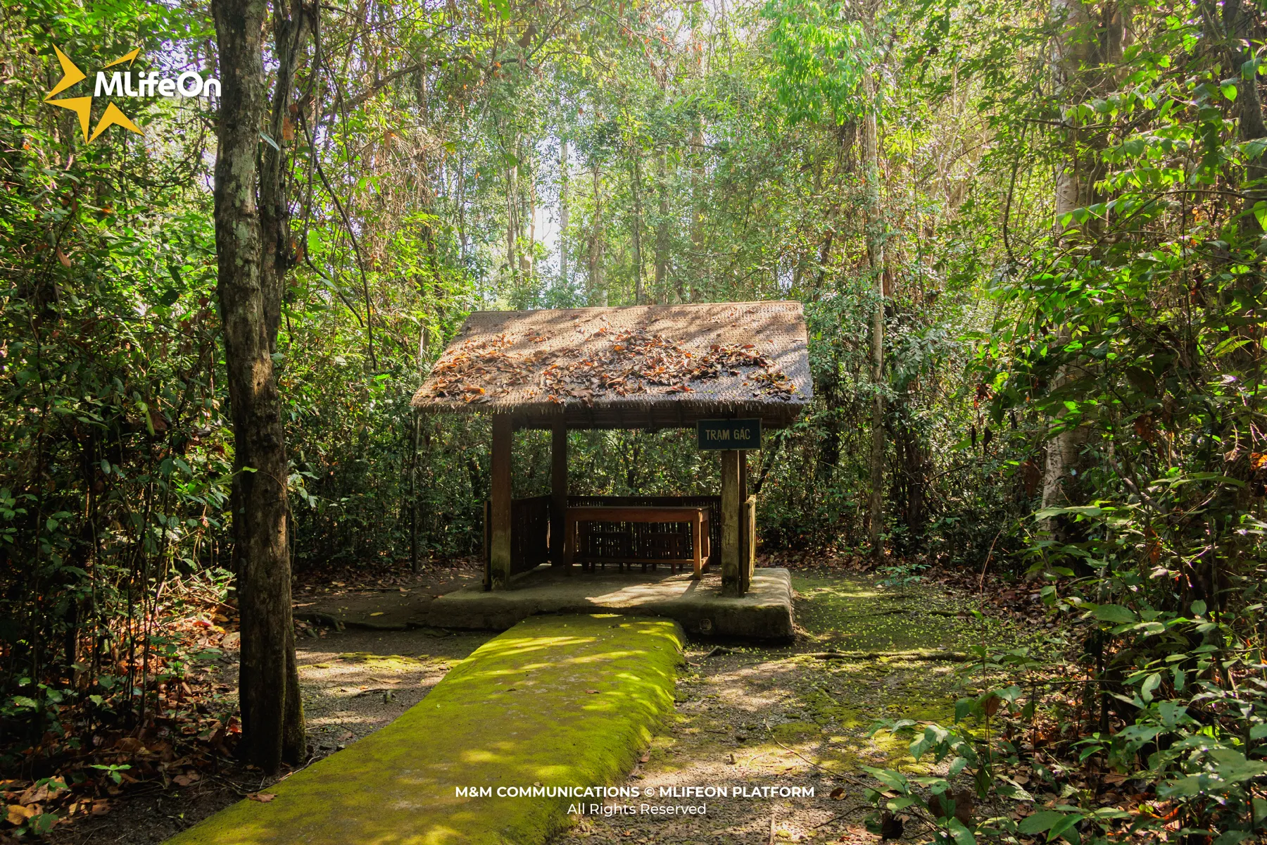 The Central Bureau of Southern Vietnam base lies hidden within the Chang Riec forest, once serving as the headquarters of the Southern revolutionary leadership for a long period of time.