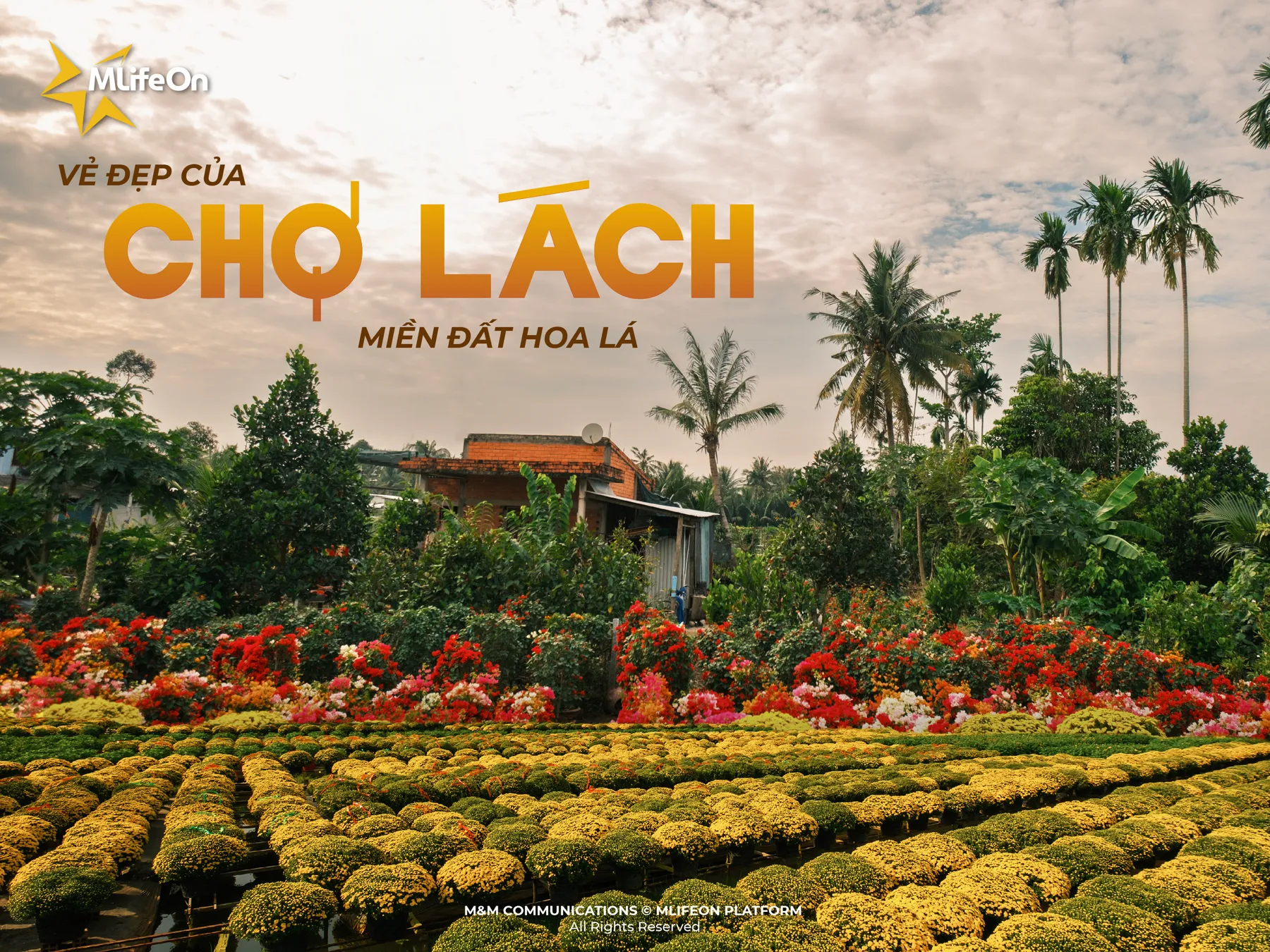 CHO LACH - LA BEAUTÉ DU ROYAUME DES FLEURS