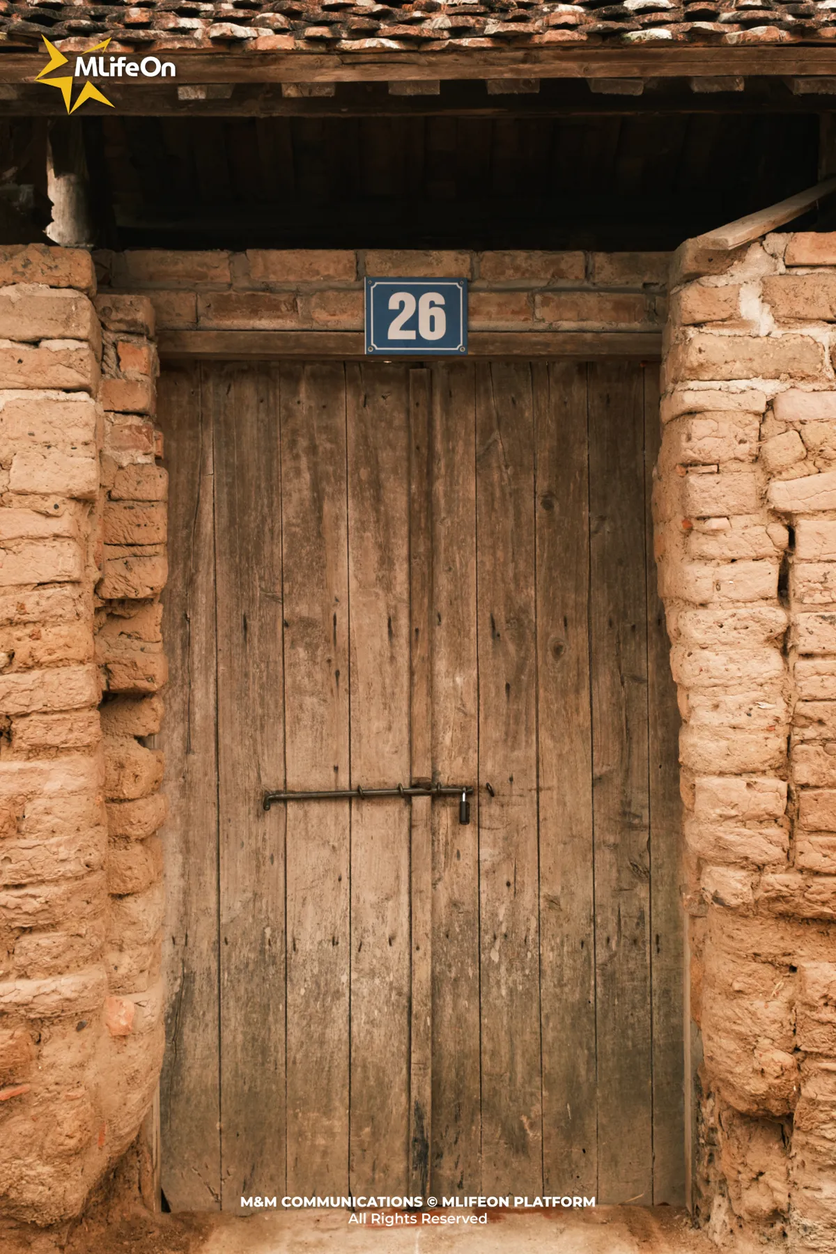 Frame 706.jpg