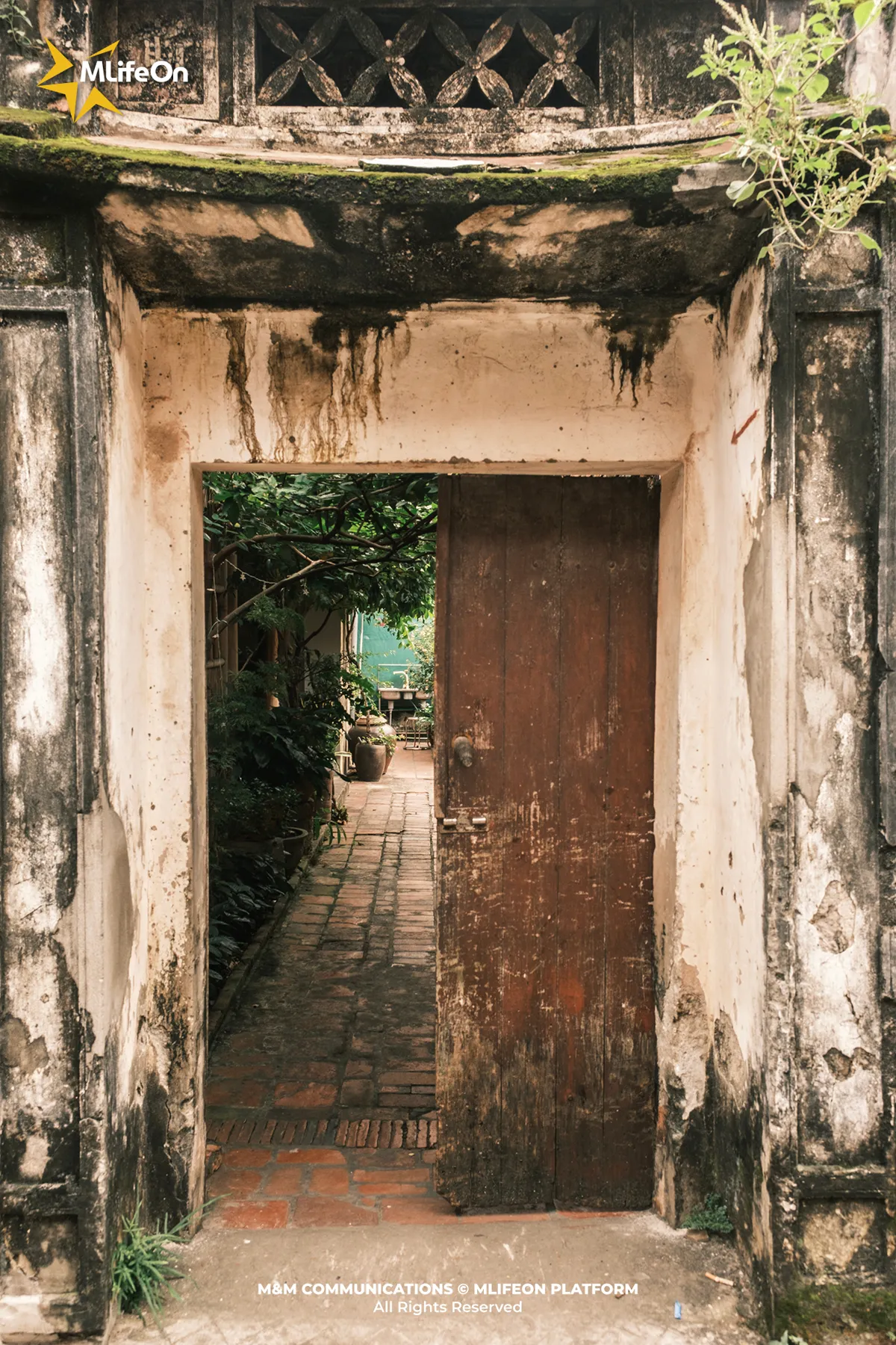 Frame 707.jpg