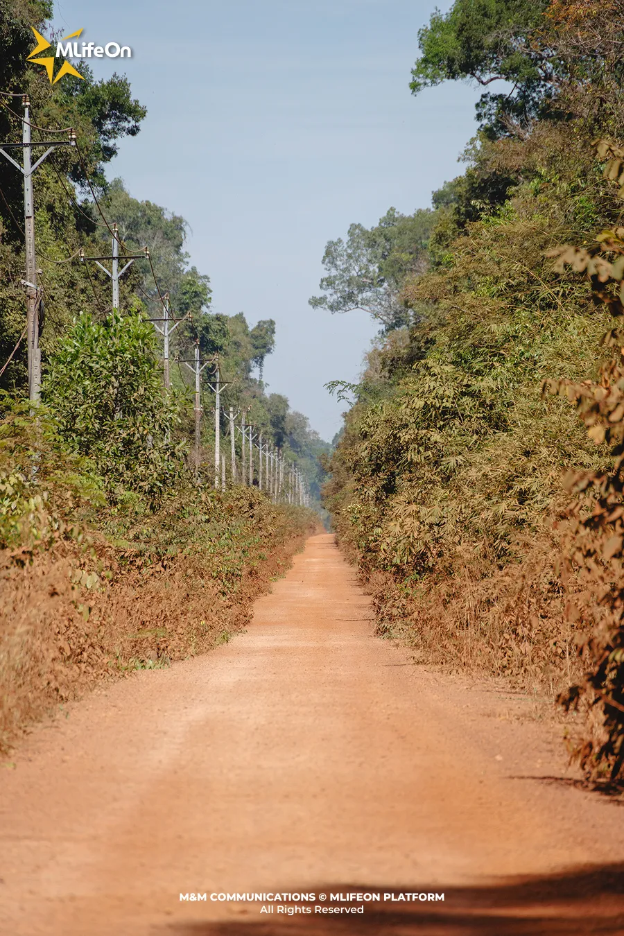 Frame 737.jpg