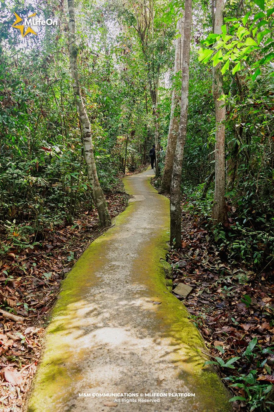 Frame 741.jpg