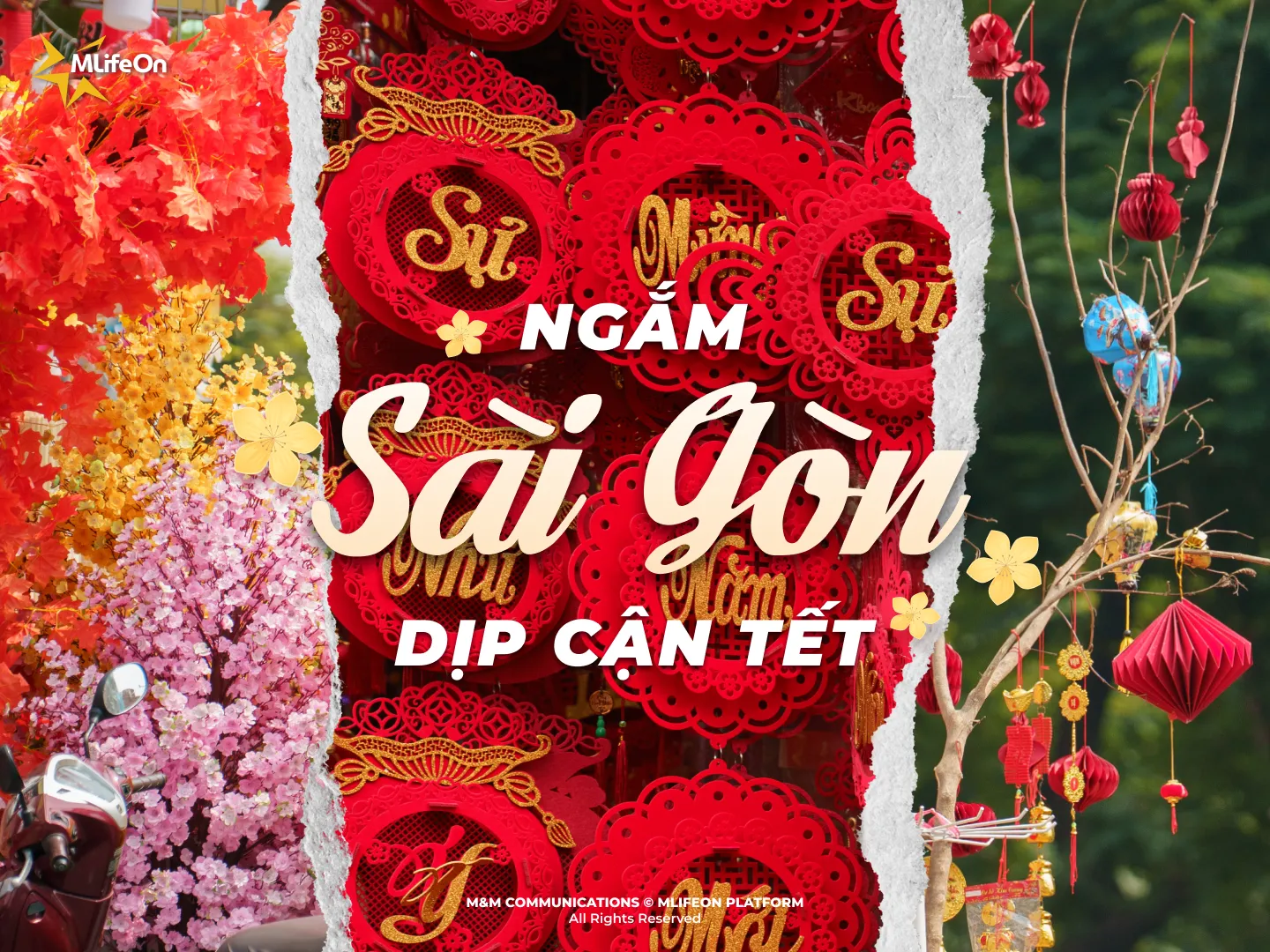 春节将至，凝望西贡 —— 一种截然不同的美