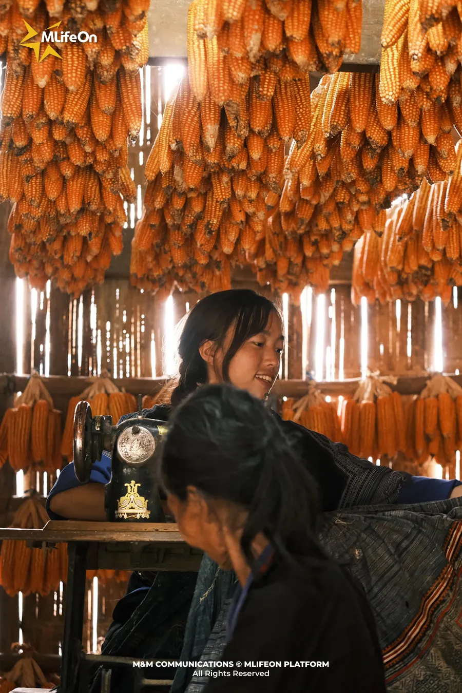 Frame 1076.jpg