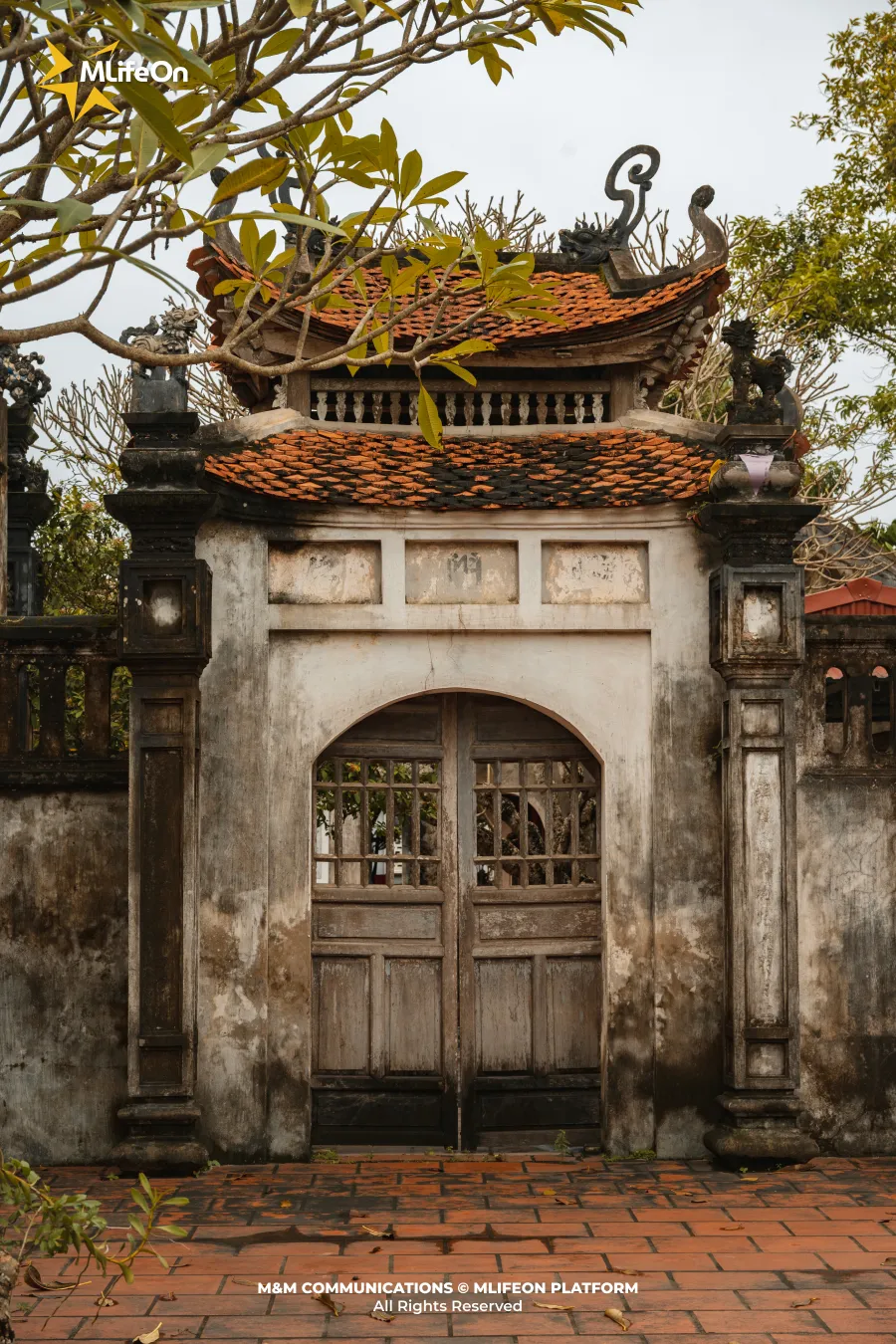 Frame 1167.jpg