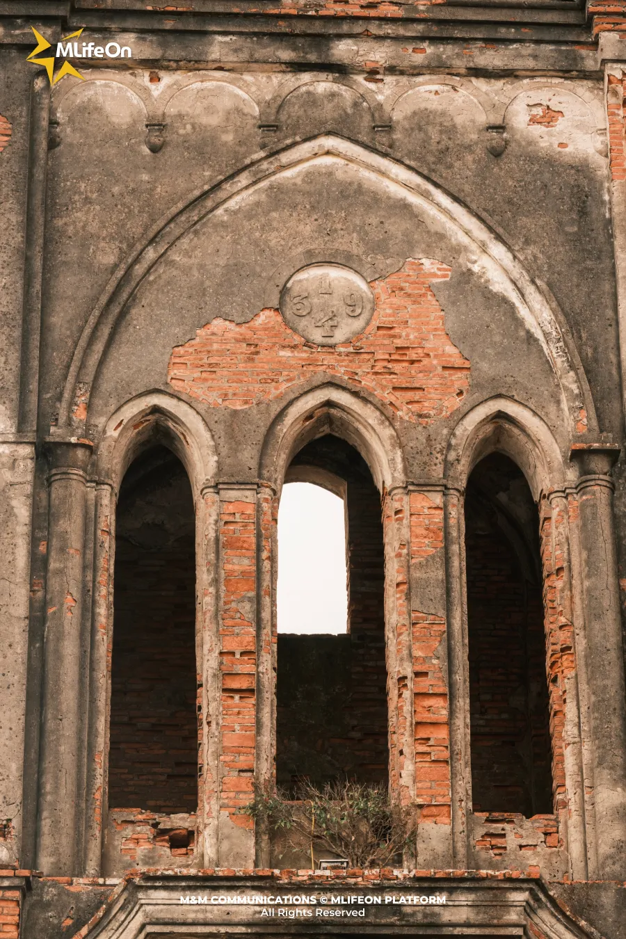 Frame 1183.jpg