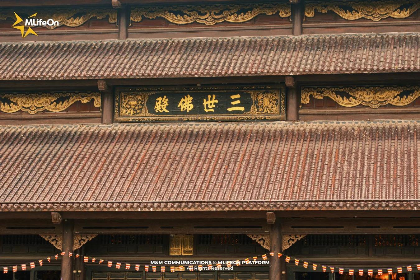 Frame 1194.jpg