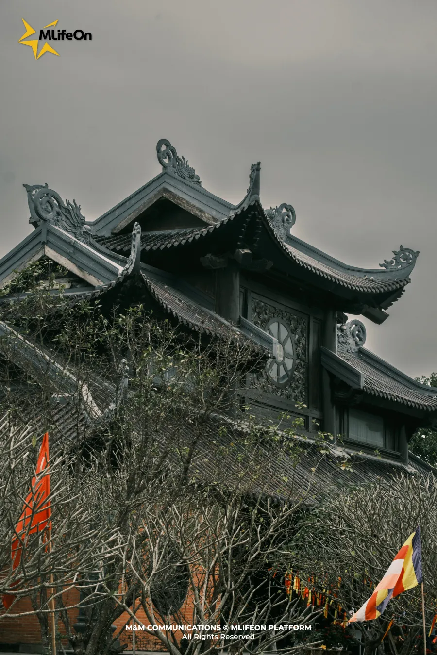 Frame 1203.jpg