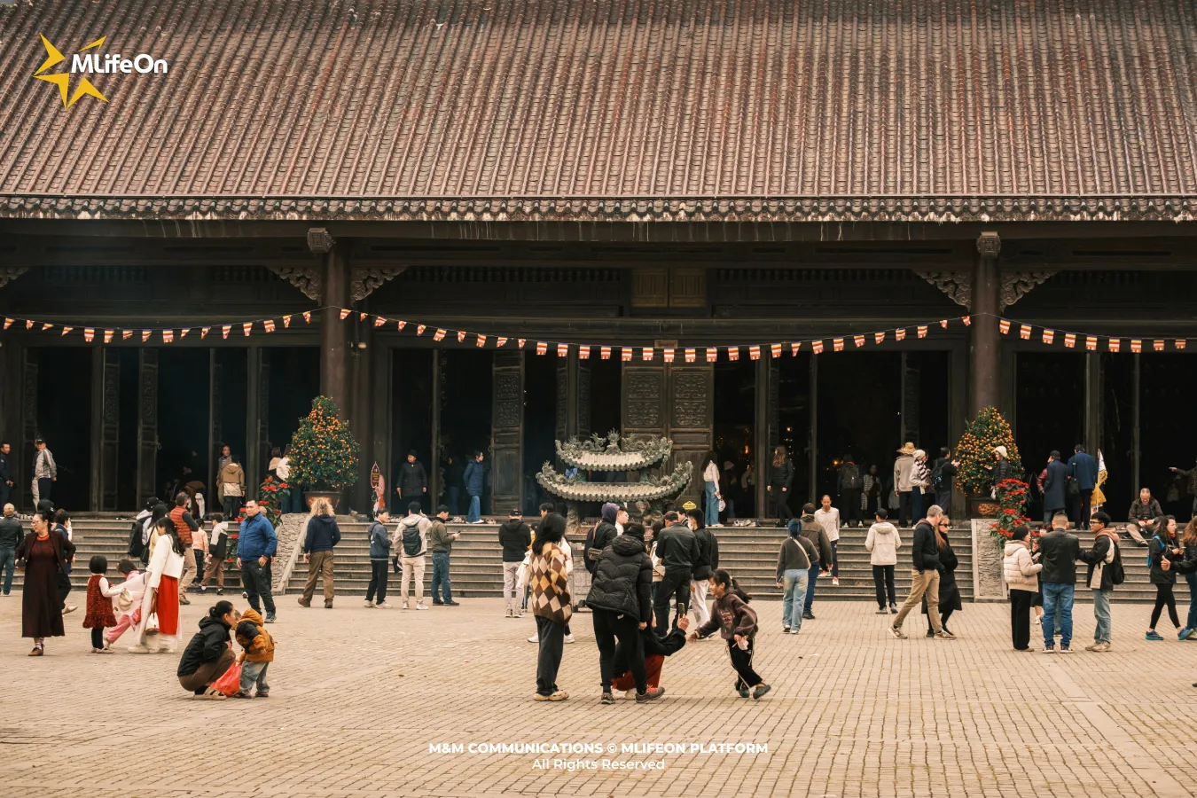 Frame 1212.jpg