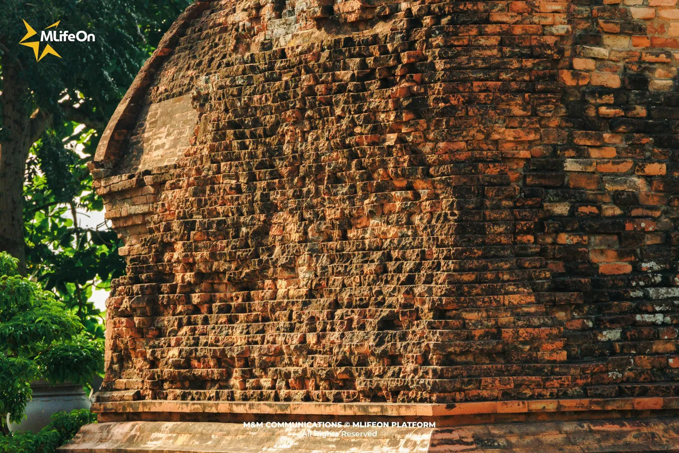 Frame 1257.jpg