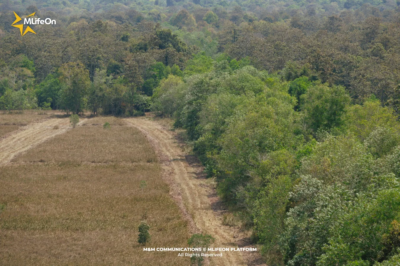 Frame 1318.jpg