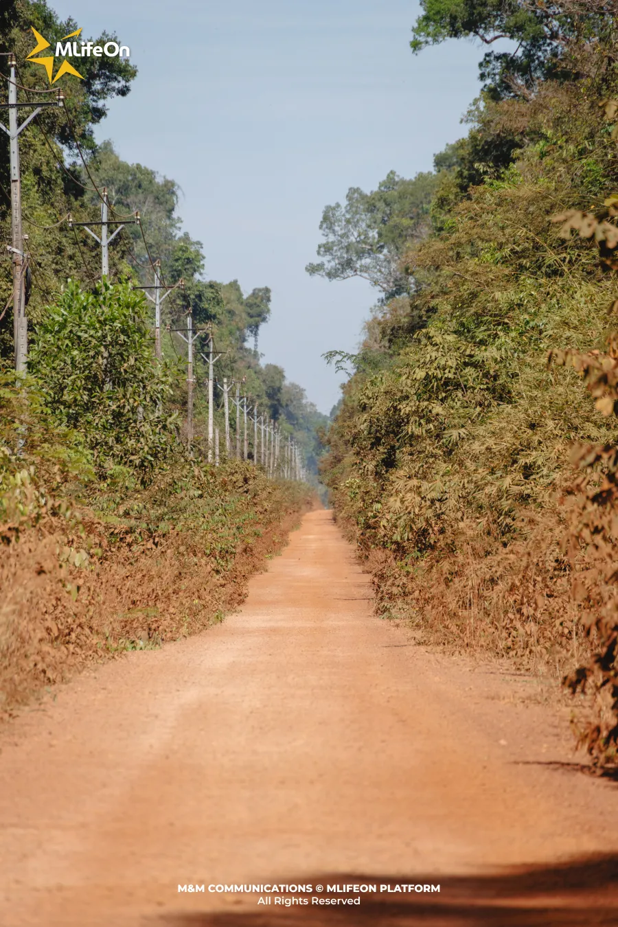 Frame 1330.jpg
