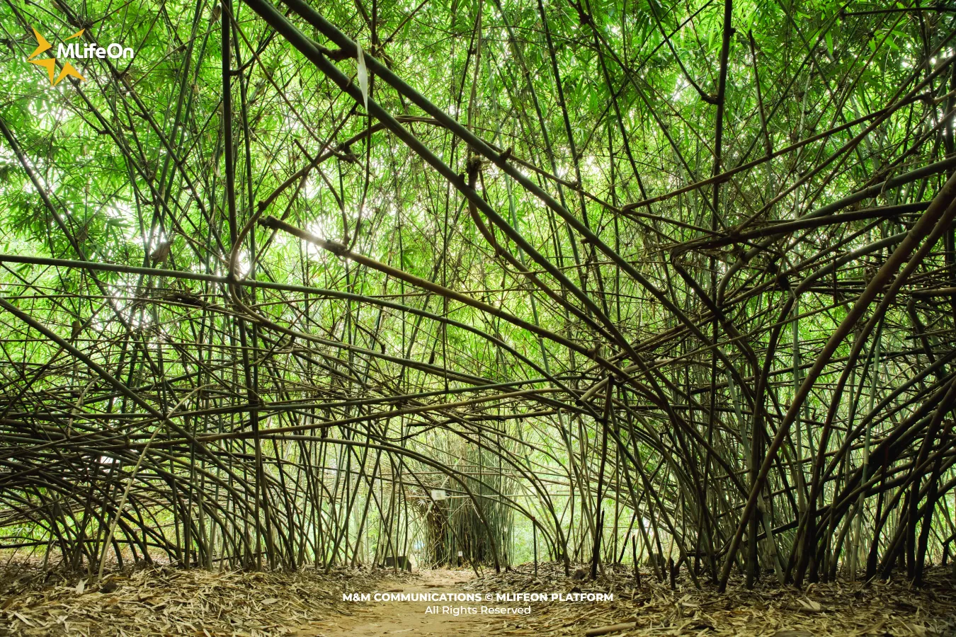 Frame 1427.jpg