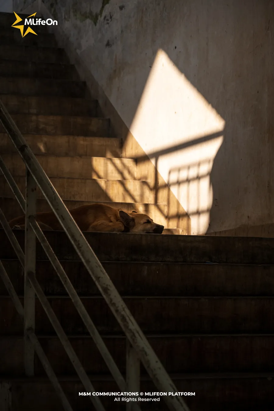 Frame 1483.jpg
