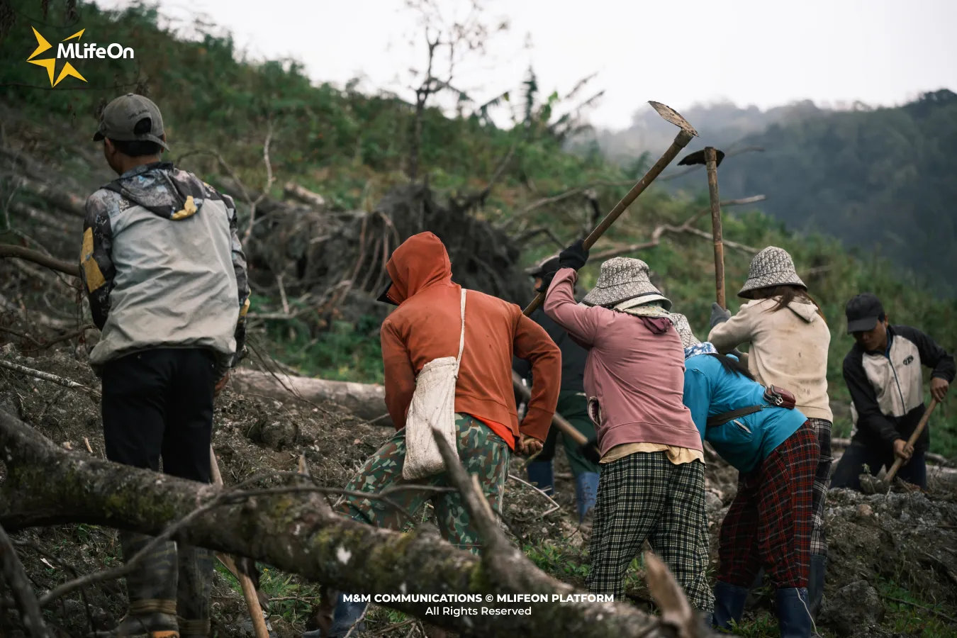 Khung cảnh lao động thường ngày của người Sedang