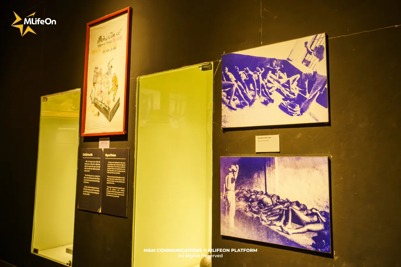 Frame 1824.jpg