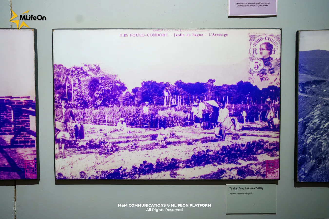Frame 1836.jpg