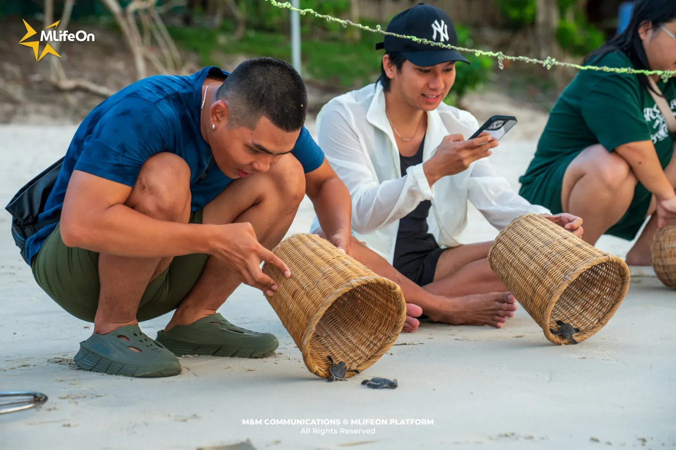Tourists and guides participate in releasing baby turtles following conservation protocols.