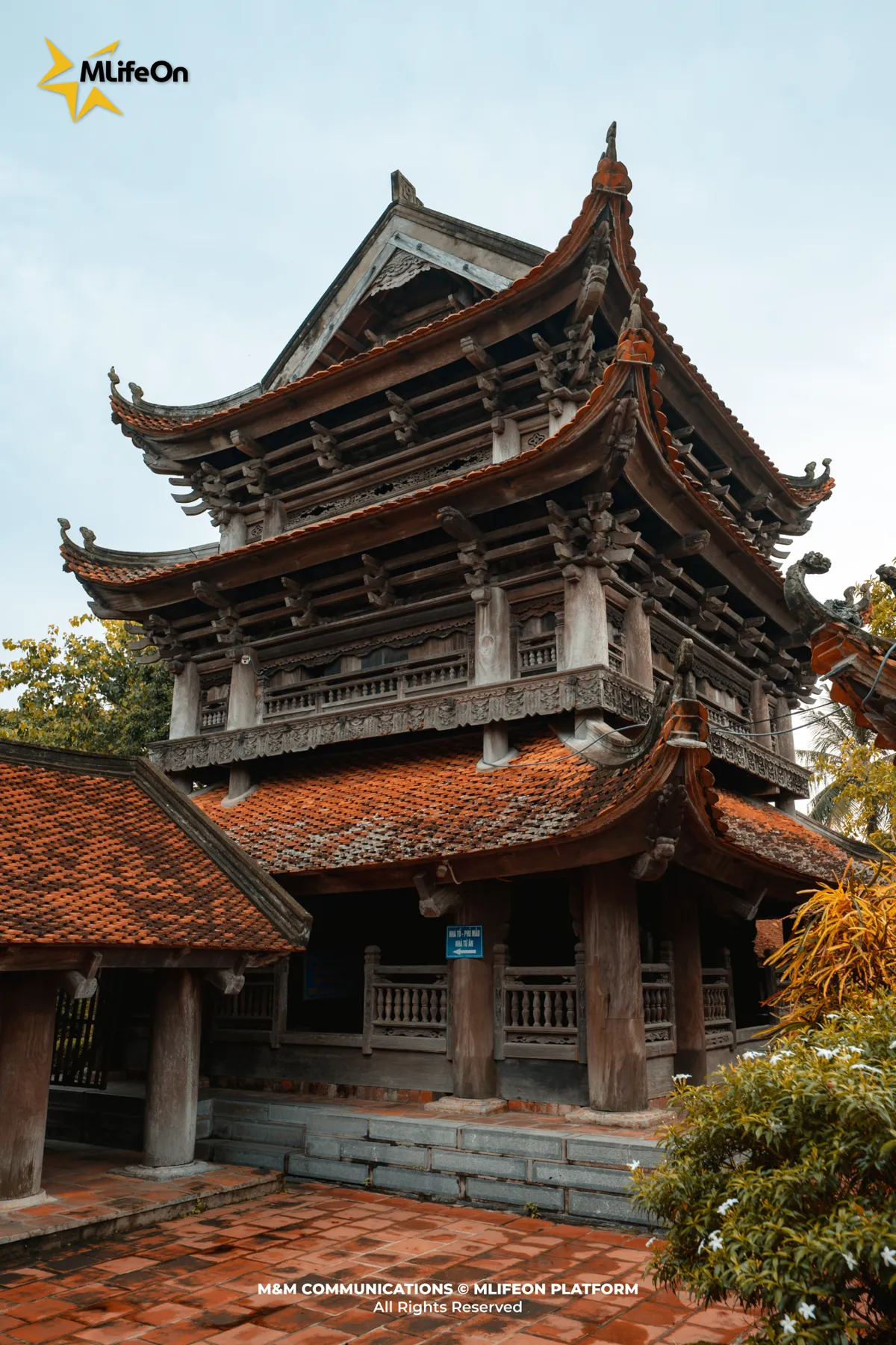Frame 229.jpg