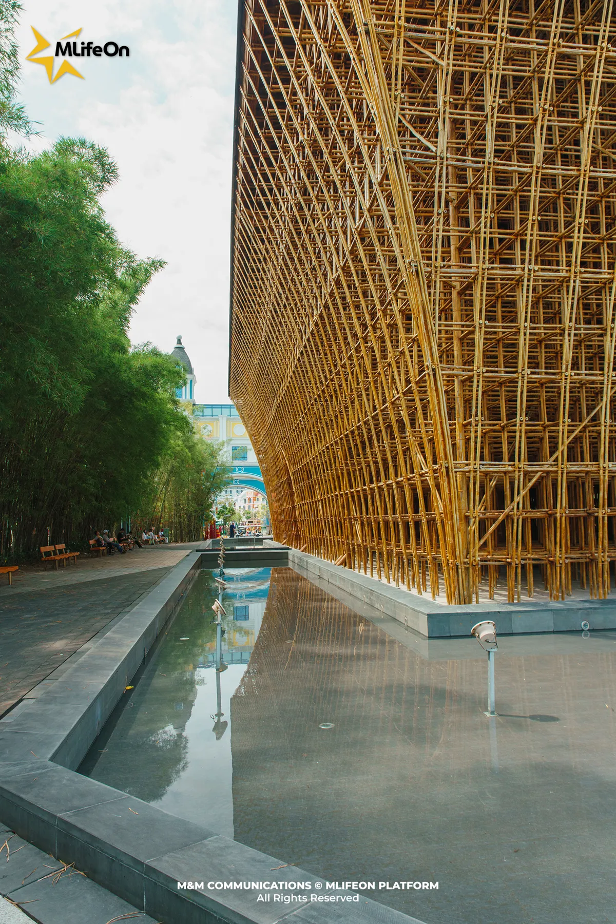 Frame 250.jpg