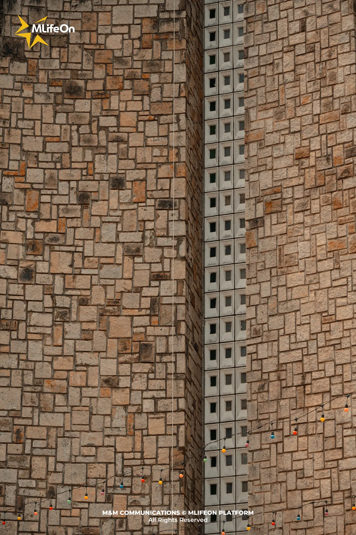 Frame 364.jpg
